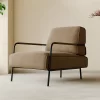 Brown Velvet Leisure Chair