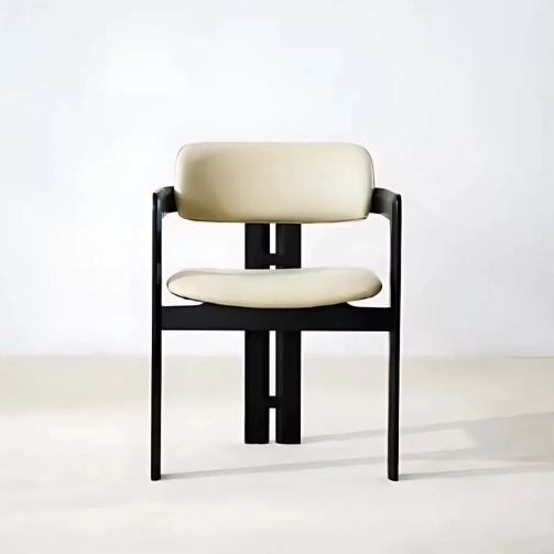 SALINA LEISURE DINING CHAIR