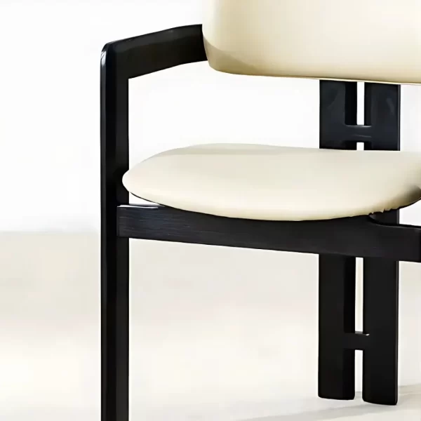 SALINA LEISURE DINING CHAIR