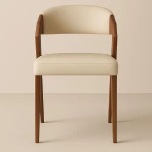 Creativity dining chair