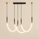 Solene Black & White Acrylic Pendant Light