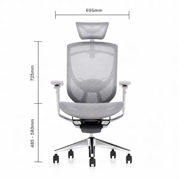 Fiorina Office Chair | Ergonomic Mesh Chair with Lumbar Support