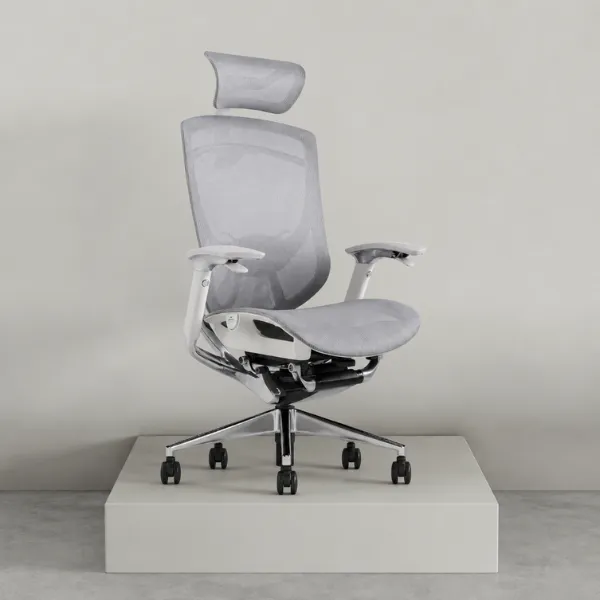 Fiorina Office Chair | Ergonomic Mesh Chair with Lumbar Support