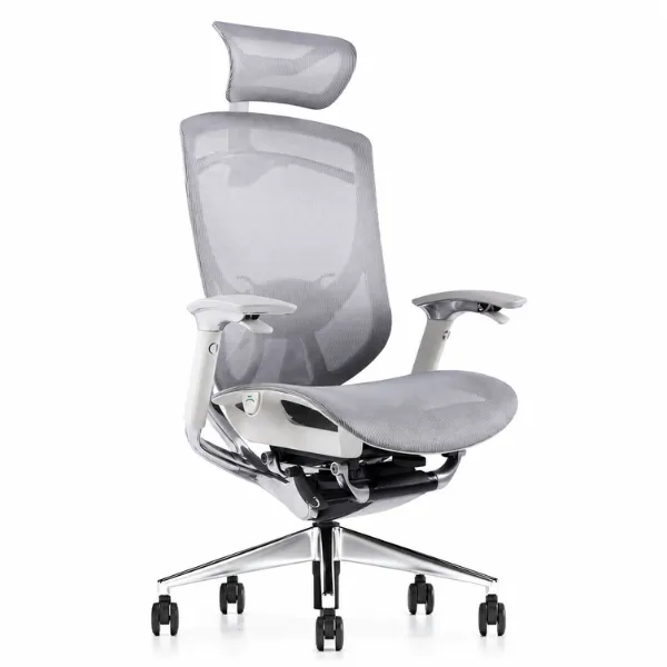 Fiorina Office Chair | Ergonomic Mesh Chair with Lumbar Support