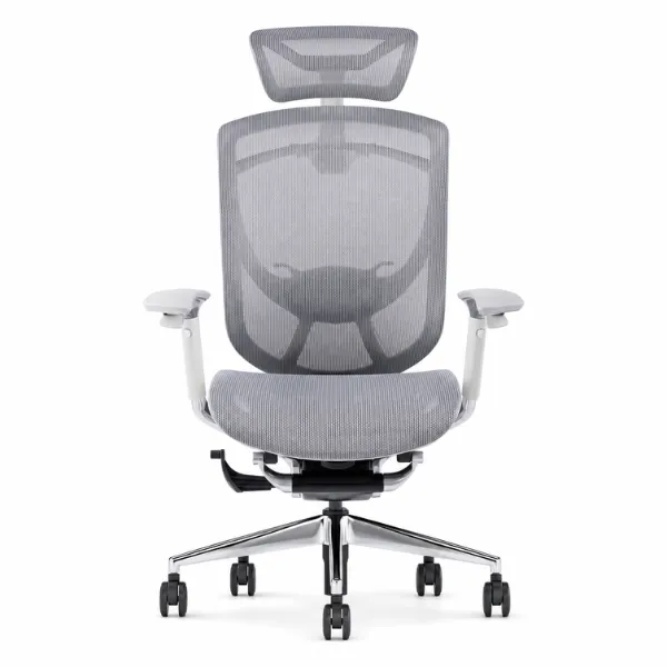 Fiorina Office Chair | Ergonomic Mesh Chair with Lumbar Support