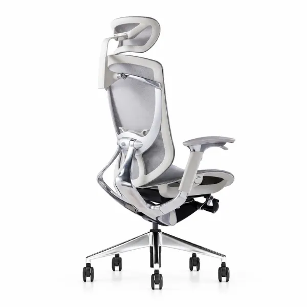Fiorina Office Chair | Ergonomic Mesh Chair with Lumbar Support