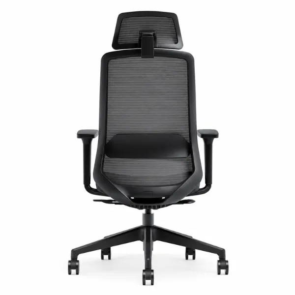 Luvina Office Chair | Ergonomic Mesh Chair with Lumbar Support