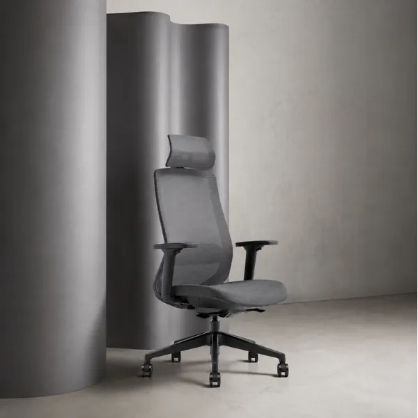 Luvina Office Chair | Ergonomic Mesh Chair with Lumbar Support