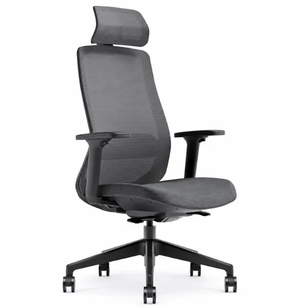 Luvina Office Chair | Ergonomic Mesh Chair with Lumbar Support