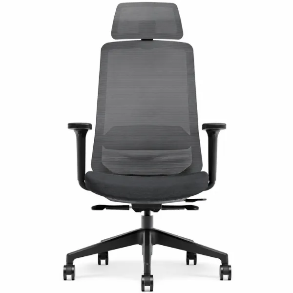 Luvina Office Chair | Ergonomic Mesh Chair with Lumbar Support
