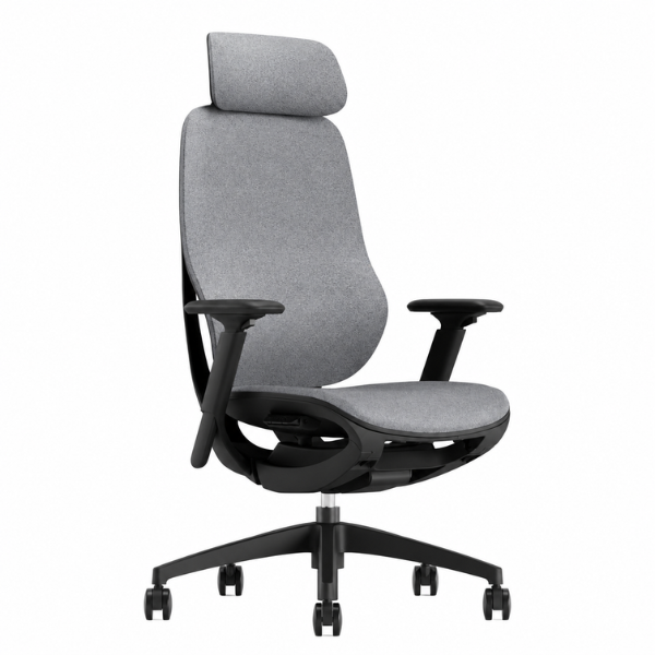 Candina Office Chair | Ergonomic Mesh Chair with Adjustable Headrest