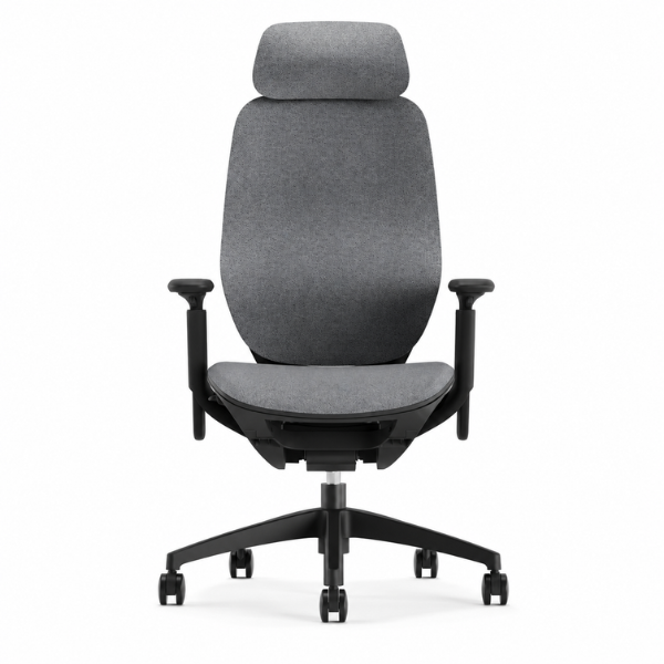 Candina Office Chair | Ergonomic Mesh Chair with Adjustable Headrest