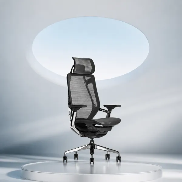 Tania Office Chair | Ergonomic Mesh Chair with Chrome Base