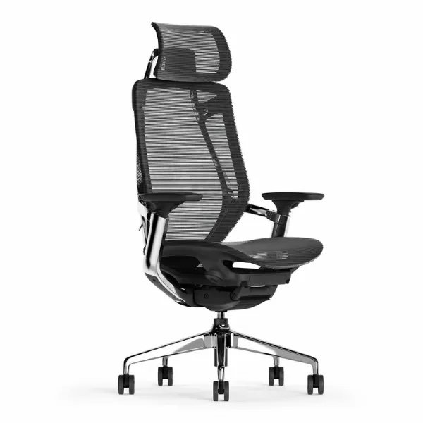 Tania Office Chair | Ergonomic Mesh Chair with Chrome Base