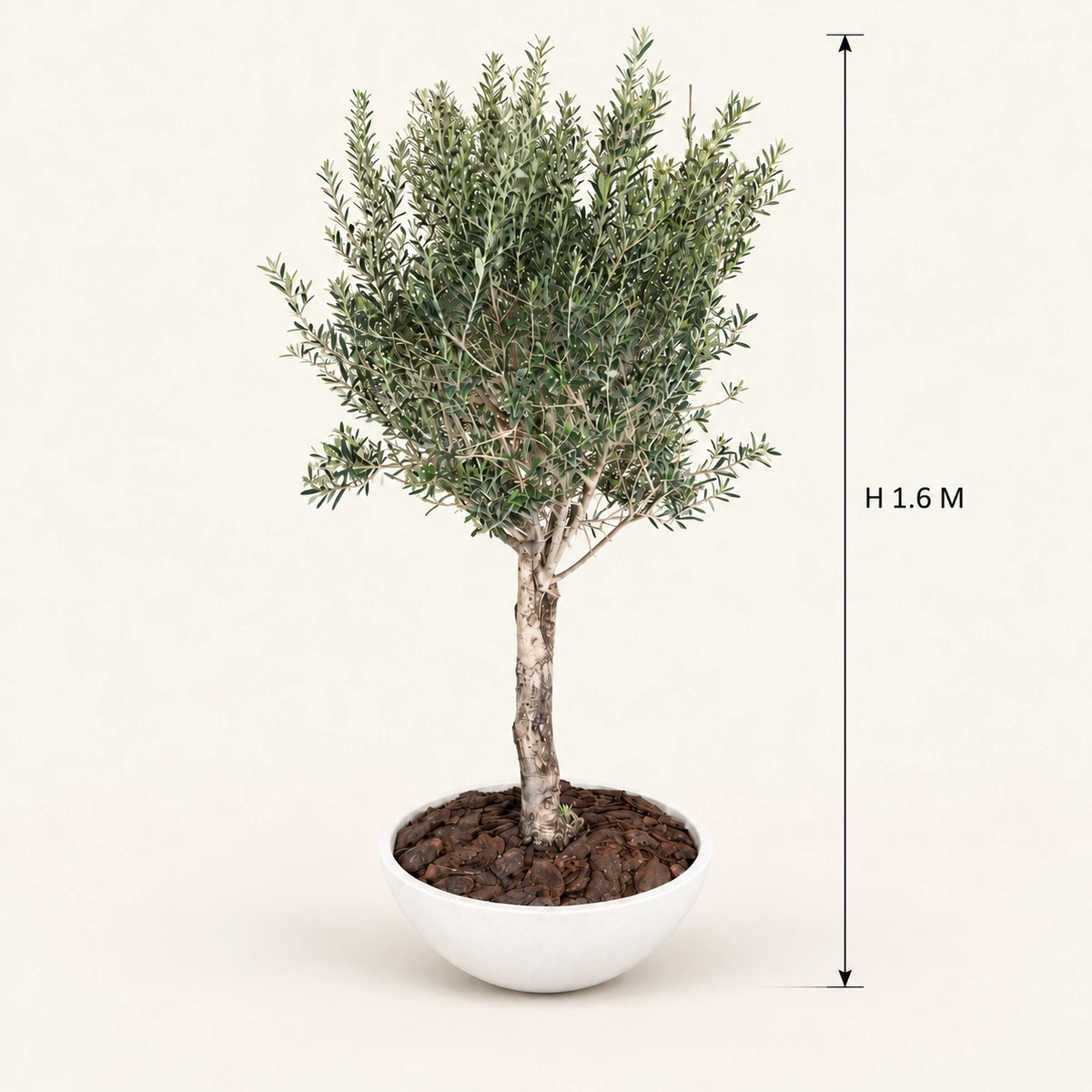 Gardeno Planter Box | 1.6M Artificial Olive Tree & Fiber Clay Bowl