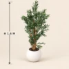 Gelsomina Planter Box | 1.6 m Artificial Olive Tree with Pot