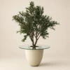 Petalo Planter Box | 2.5M Artificial Olive Tree with Fiber Clay Pot