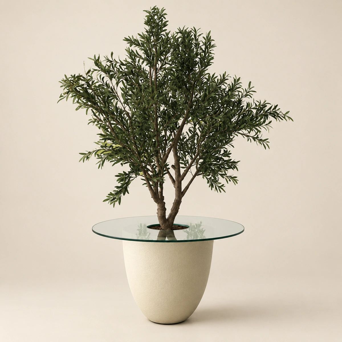 Petalo Planter Box | 2.5M Artificial Olive Tree with Fiber Clay Pot