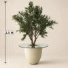 Petalo Planter Box | 2.5M Artificial Olive Tree with Fiber Clay Pot