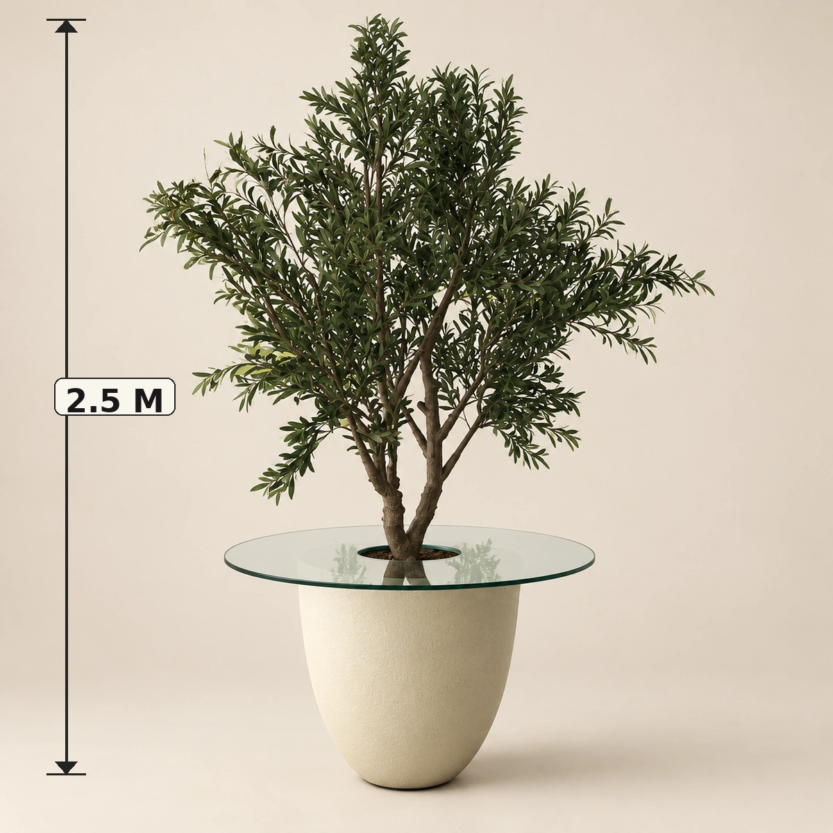 Petalo Planter Box | 2.5M Artificial Olive Tree with Fiber Clay Pot